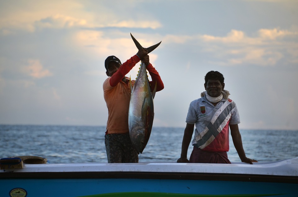 Sri Lankan fishing